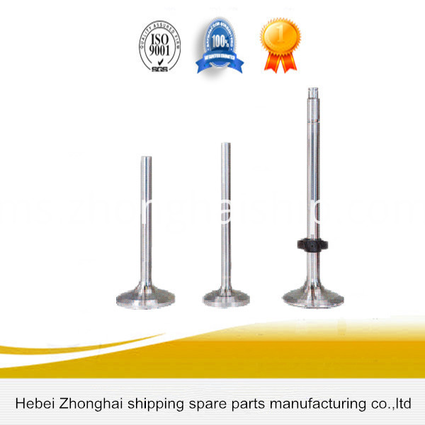Injap salur masuk masuk & keluar Engine inlet&outlet valve